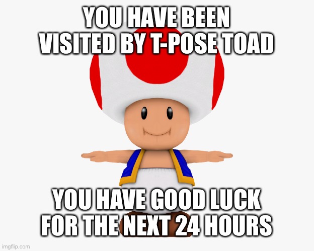 YOU HAVE BEEN VISITED BY T-POSE TOAD; YOU HAVE GOOD LUCK FOR THE NEXT 24 HOURS | image tagged in t-pose,toad | made w/ Imgflip meme maker