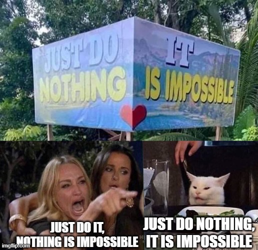 Which is it on an angeled sign? | JUST DO NOTHING, IT IS IMPOSSIBLE; JUST DO IT, NOTHING IS IMPOSSIBLE | image tagged in woman yelling at cat,meme,funny | made w/ Imgflip meme maker