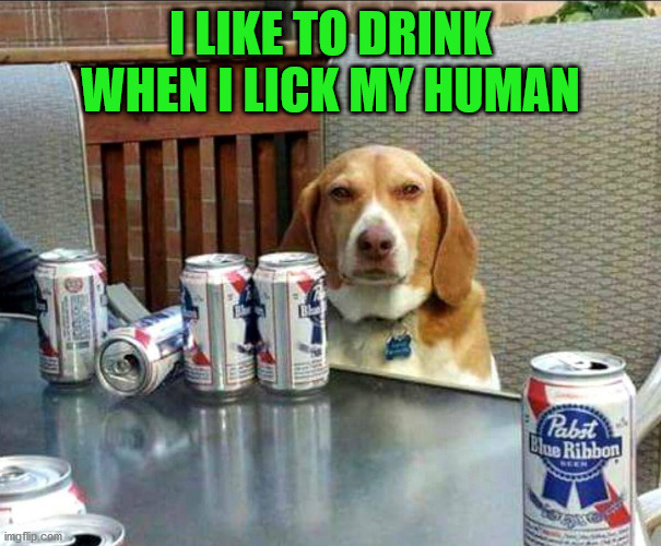 beer dog | I LIKE TO DRINK WHEN I LICK MY HUMAN | image tagged in beer dog | made w/ Imgflip meme maker