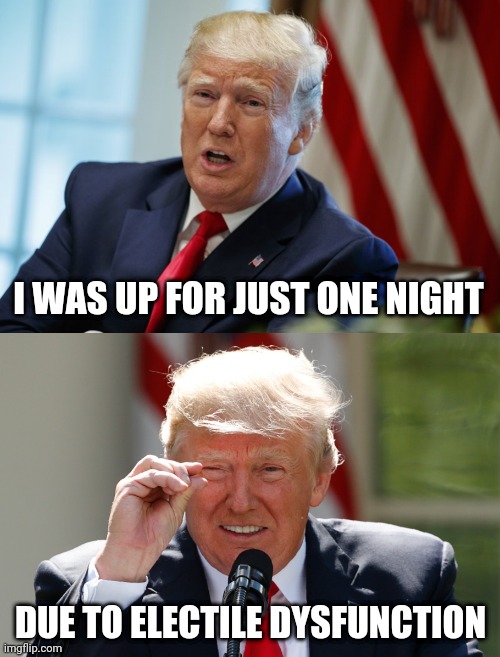 Electile Dysfunction | I WAS UP FOR JUST ONE NIGHT; DUE TO ELECTILE DYSFUNCTION | image tagged in donald trump,trump,election,election 2020,president,usa | made w/ Imgflip meme maker