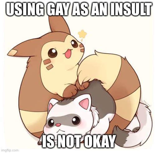 Pokémon ferret tehe | USING GAY AS AN INSULT; IS NOT OKAY | image tagged in pok mon ferret tehe | made w/ Imgflip meme maker