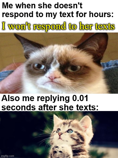 Not that I have a "she" | Me when she doesn't respond to my text for hours:; I won't respond to her texts; Also me replying 0.01 seconds after she texts: | image tagged in memes | made w/ Imgflip meme maker