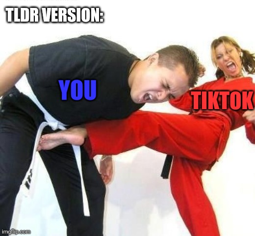YOU TIKTOK TLDR VERSION: | made w/ Imgflip meme maker