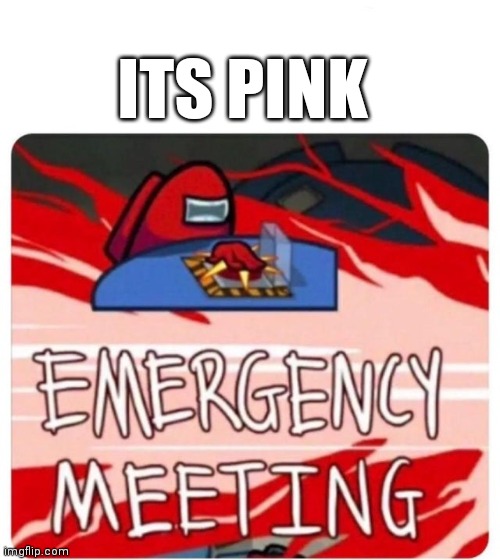 Emergency Meeting Among Us | ITS PINK | image tagged in emergency meeting among us | made w/ Imgflip meme maker