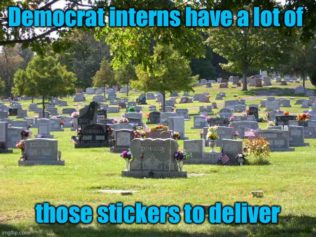 cemetery | Democrat interns have a lot of those stickers to deliver | image tagged in cemetery | made w/ Imgflip meme maker