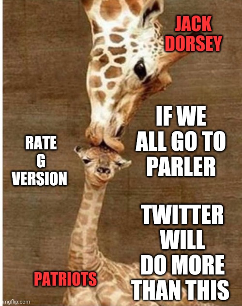 WE Don't Need Them... THEY Need Us | JACK DORSEY; IF WE
ALL GO TO
PARLER; RATE
G
VERSION; TWITTER WILL DO MORE THAN THIS; PATRIOTS | image tagged in twitter,funny,memes,funny memes,social media | made w/ Imgflip meme maker