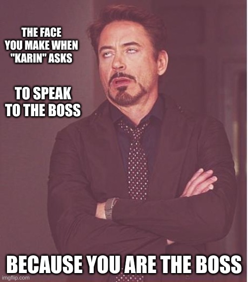 The face you make | THE FACE YOU MAKE WHEN "KARIN" ASKS; TO SPEAK TO THE BOSS; BECAUSE YOU ARE THE BOSS | image tagged in memes,face you make robert downey jr | made w/ Imgflip meme maker