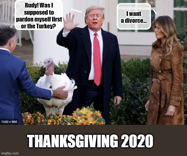 TURKEY DAY | Rudy! Was I supposed to pardon myself first or the Turkey? I want a divorce... THANKSGIVING 2020 | image tagged in trump is a moron,donald trump,idiot,thanksgiving,turkey day | made w/ Imgflip meme maker