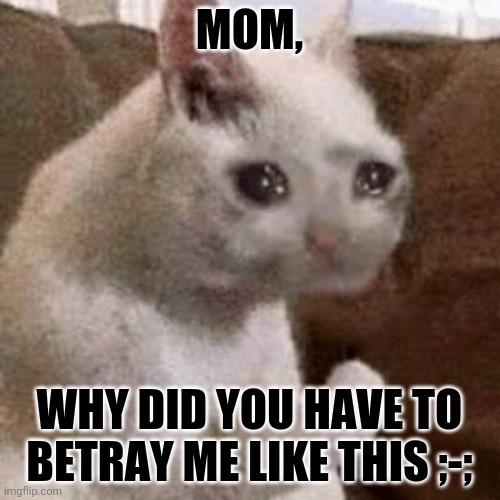 Dank Cats | MOM, WHY DID YOU HAVE TO BETRAY ME LIKE THIS ;-; | image tagged in dank cat memes uvu | made w/ Imgflip meme maker