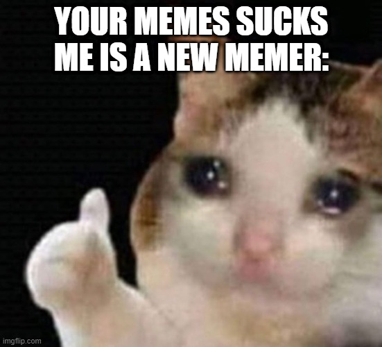 Crying Cat with Thumbs | YOUR MEMES SUCKS

ME IS A NEW MEMER: | image tagged in crying cat with thumbs | made w/ Imgflip meme maker