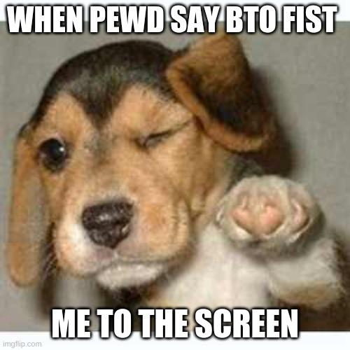 Fist bump puppy  |  WHEN PEWD SAY BTO FIST; ME TO THE SCREEN | image tagged in fist bump puppy | made w/ Imgflip meme maker