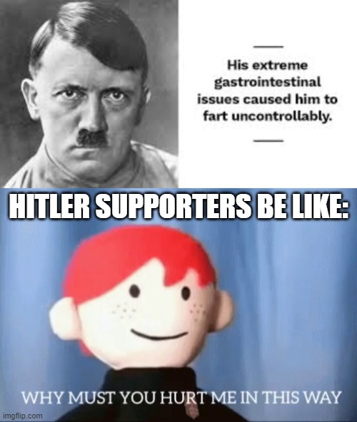 HITLER SUPPORTERS BE LIKE: | image tagged in why must you hurt me in this way | made w/ Imgflip meme maker