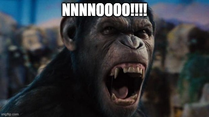 Caeser Rise of the Planet of the Apes | NNNNOOOO!!!! | image tagged in caeser rise of the planet of the apes | made w/ Imgflip meme maker