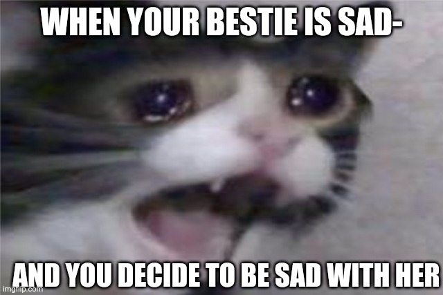 Dank Cat | WHEN YOUR BESTIE IS SAD-; AND YOU DECIDE TO BE SAD WITH HER | image tagged in dank cat memes uvu | made w/ Imgflip meme maker