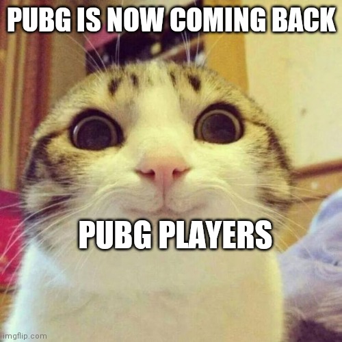 PUBG comeback | PUBG IS NOW COMING BACK; PUBG PLAYERS | image tagged in memes,smiling cat | made w/ Imgflip meme maker