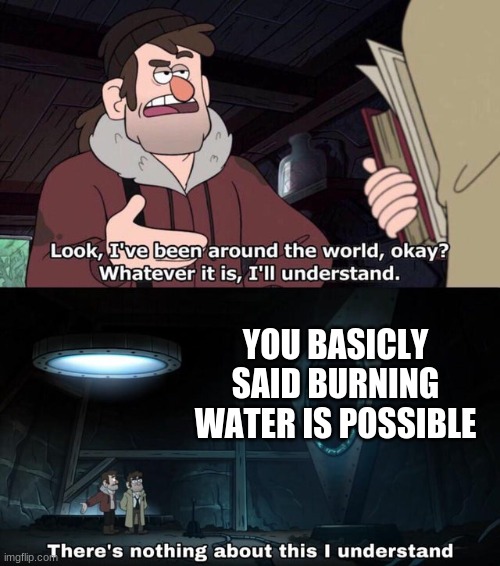 There is nothing about this I understand | YOU BASICLY SAID BURNING WATER IS POSSIBLE | image tagged in there is nothing about this i understand | made w/ Imgflip meme maker