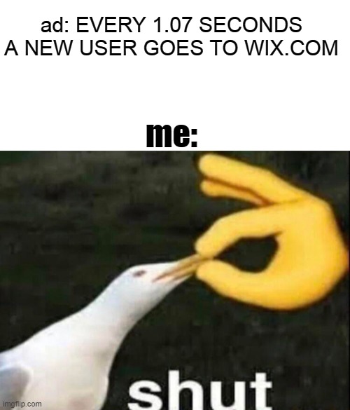 ye | ad: EVERY 1.07 SECONDS A NEW USER GOES TO WIX.COM; me: | image tagged in blank white template,shut | made w/ Imgflip meme maker