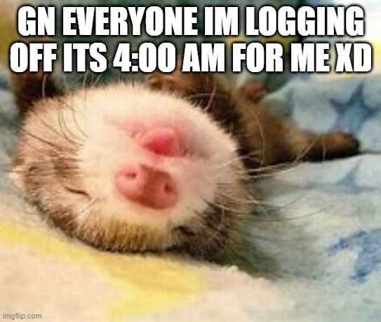 gn darlings | GN EVERYONE IM LOGGING OFF ITS 4:OO AM FOR ME XD | image tagged in sleepy ferret | made w/ Imgflip meme maker