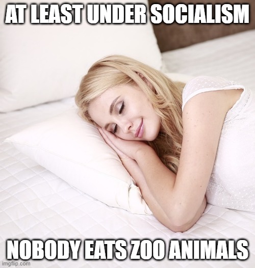 At Least Under Socialism | AT LEAST UNDER SOCIALISM; NOBODY EATS ZOO ANIMALS | image tagged in sleeping woman,venezuela,animals,socialism,democrats,democratic socialism | made w/ Imgflip meme maker