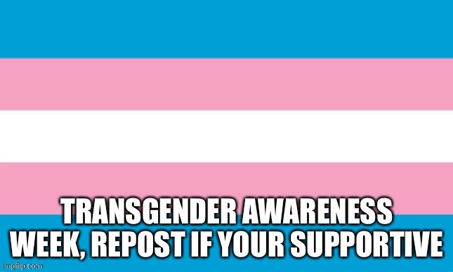 I'm not trans, I'm just supportive :) | image tagged in transgender | made w/ Imgflip meme maker