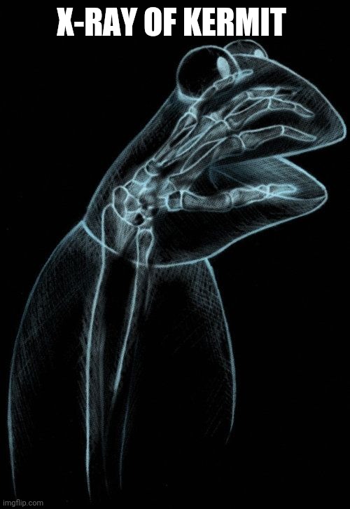 X-ray of Kermit the frog |  X-RAY OF KERMIT | image tagged in kermit xray | made w/ Imgflip meme maker