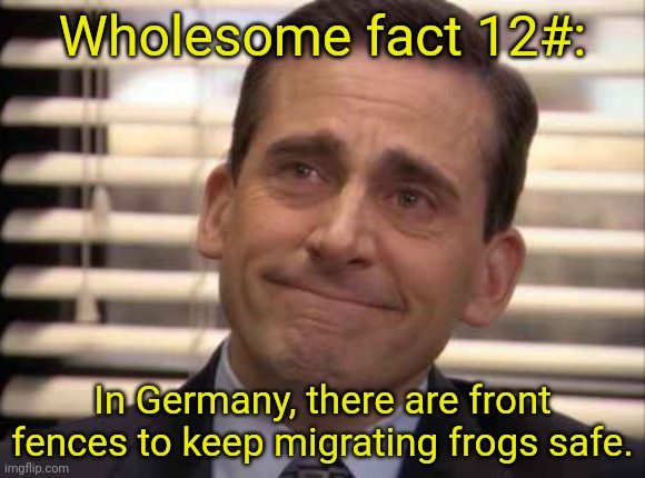 Okay do you guys like these? | Wholesome fact 12#:; In Germany, there are front fences to keep migrating frogs safe. | image tagged in wholesome | made w/ Imgflip meme maker