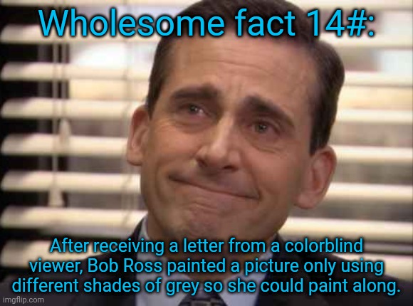 wholesome | Wholesome fact 14#:; After receiving a letter from a colorblind viewer, Bob Ross painted a picture only using different shades of grey so she could paint along. | image tagged in wholesome | made w/ Imgflip meme maker