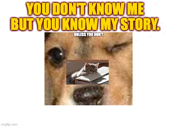 Meow Now brown cow | YOU DON'T KNOW ME BUT YOU KNOW MY STORY. UNLESS YOU DON'T | image tagged in dog,cat,me,you,them,they | made w/ Imgflip meme maker