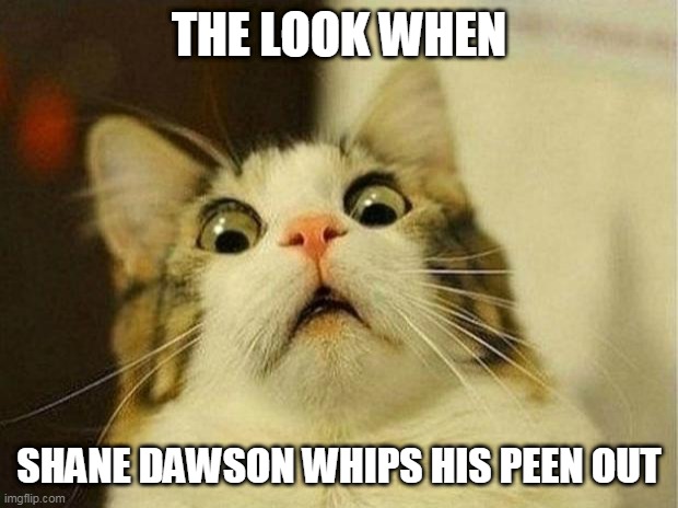 Scared Cat Meme | THE LOOK WHEN; SHANE DAWSON WHIPS HIS PEEN OUT | image tagged in memes,scared cat | made w/ Imgflip meme maker