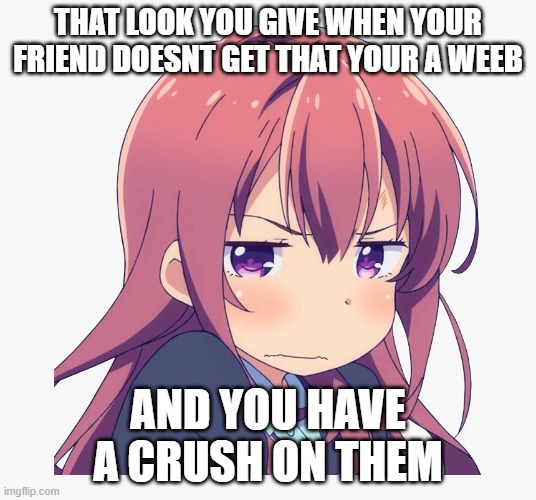 My life problems | THAT LOOK YOU GIVE WHEN YOUR FRIEND DOESNT GET THAT YOUR A WEEB; AND YOU HAVE A CRUSH ON THEM | image tagged in idk just rename it | made w/ Imgflip meme maker
