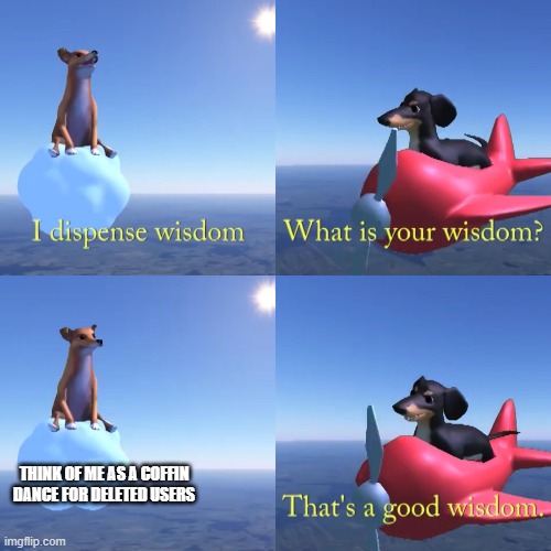 That's a good wisdom | THINK OF ME AS A COFFIN DANCE FOR DELETED USERS | image tagged in that's a good wisdom | made w/ Imgflip meme maker