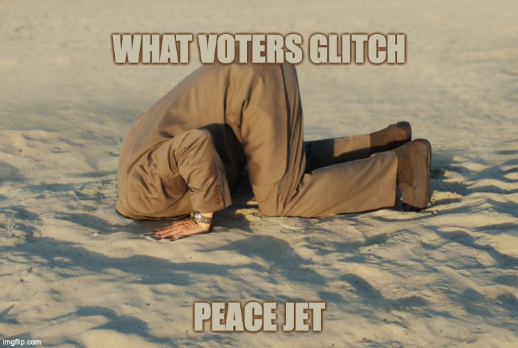 what voters glitch? | WHAT VOTERS GLITCH; PEACE JET | image tagged in dead voters,election 2020,trump supporters,supreme court | made w/ Imgflip meme maker