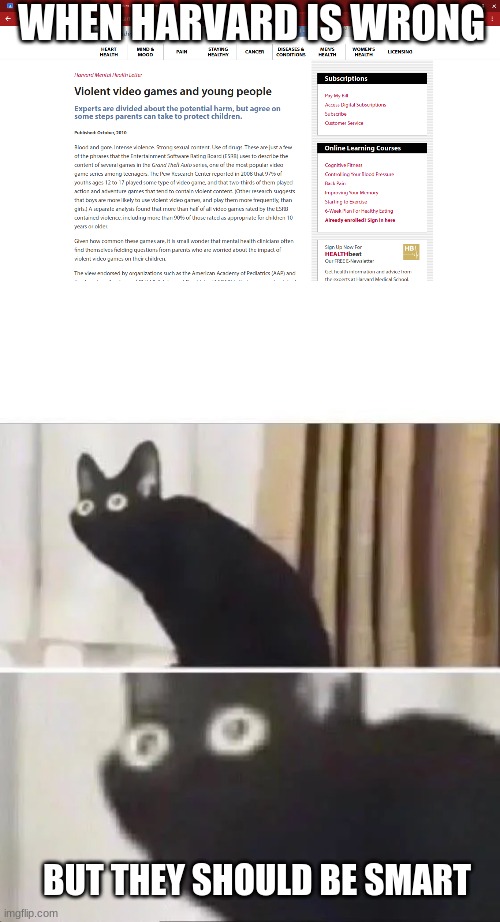 Harvard is wrong | WHEN HARVARD IS WRONG; BUT THEY SHOULD BE SMART | image tagged in oh no black cat | made w/ Imgflip meme maker