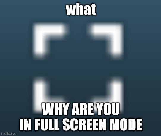 get out out of fullscreen mode stepbro | what; WHY ARE YOU IN FULL SCREEN MODE | image tagged in memes | made w/ Imgflip meme maker