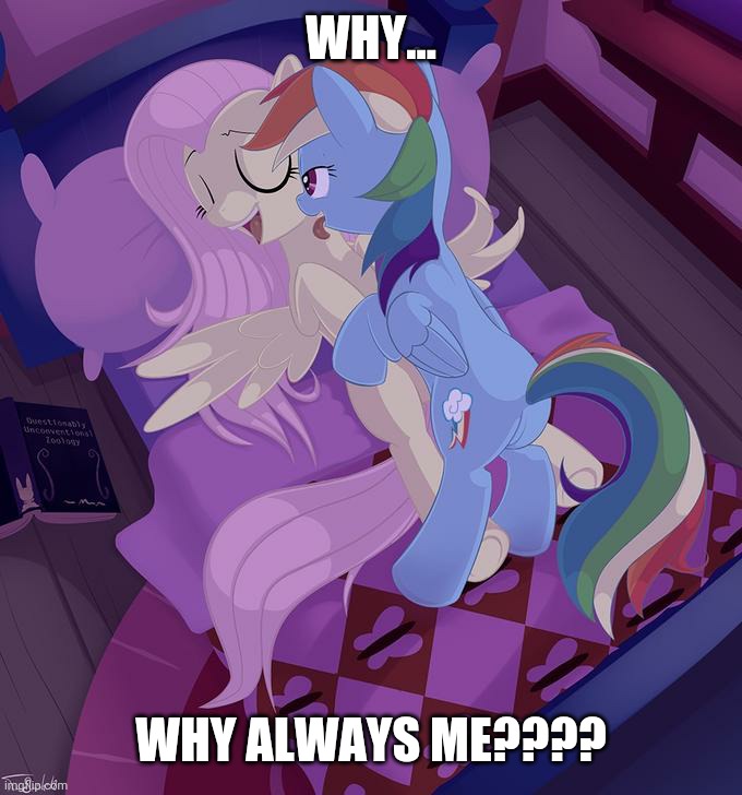 why.avi | WHY... WHY ALWAYS ME???? | image tagged in saucy flutterdash,memes,fluttershy,rainbow dash,why,oh wow are you actually reading these tags | made w/ Imgflip meme maker