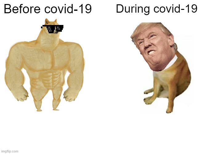 Covid-19 | Before covid-19; During covid-19 | image tagged in memes,buff doge vs cheems | made w/ Imgflip meme maker