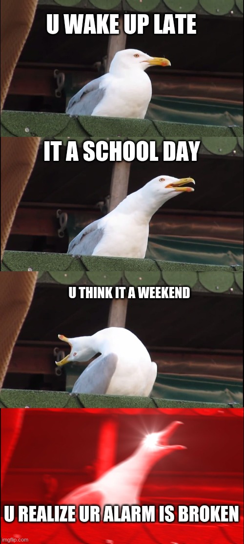 where u at alarm | U WAKE UP LATE; IT A SCHOOL DAY; U THINK IT A WEEKEND; U REALIZE UR ALARM IS BROKEN | image tagged in memes,inhaling seagull | made w/ Imgflip meme maker