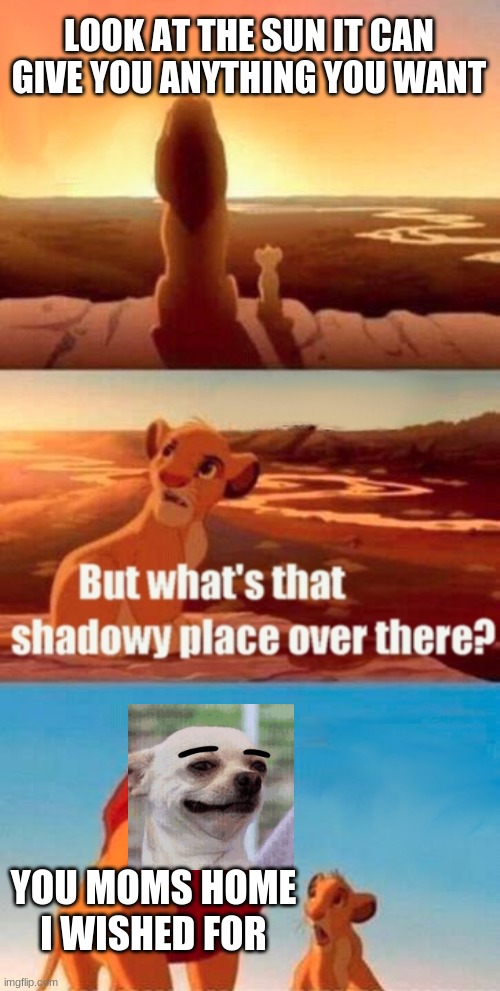 when you ask something you weren't allowed to know |  LOOK AT THE SUN IT CAN GIVE YOU ANYTHING YOU WANT; YOU MOMS HOME I WISHED FOR | image tagged in memes,simba shadowy place | made w/ Imgflip meme maker