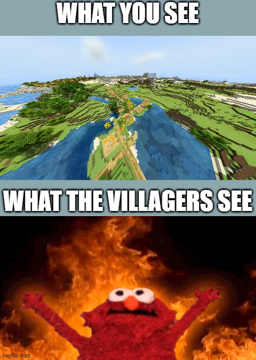 minecraft | WHAT YOU SEE; WHAT THE VILLAGERS SEE | image tagged in elmo fire,minecraft,elmo,what they see | made w/ Imgflip meme maker