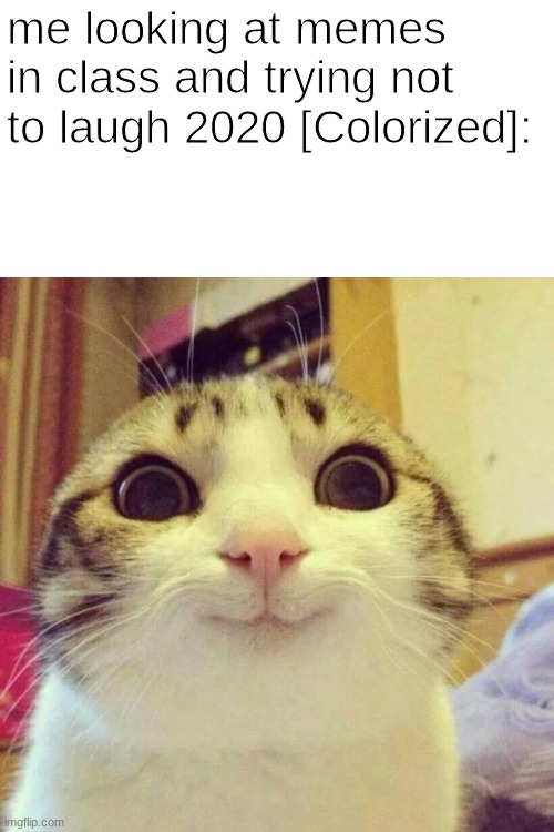Smiling Cat | me looking at memes in class and trying not to laugh 2020 [Colorized]: | image tagged in memes,smiling cat | made w/ Imgflip meme maker