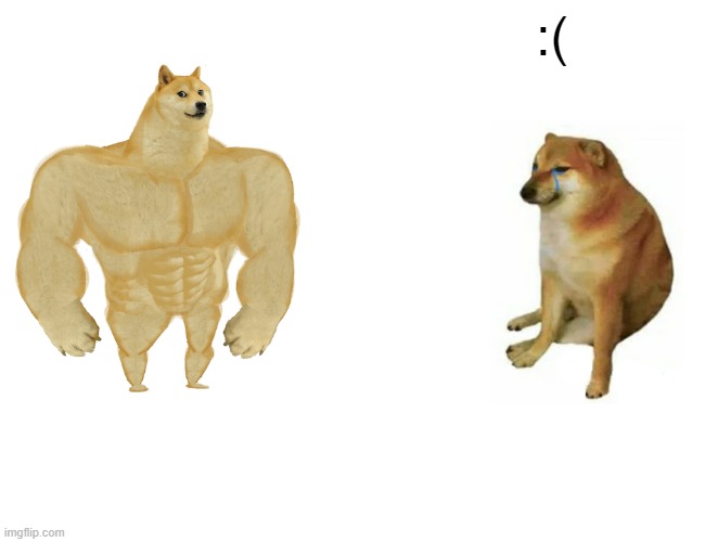 Buff Doge vs. Cheems Meme | :( | image tagged in memes,buff doge vs cheems | made w/ Imgflip meme maker
