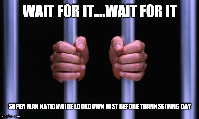 Prison Bars | WAIT FOR IT....WAIT FOR IT SUPER MAX NATIONWIDE LOCKDOWN JUST BEFORE THANKSGIVING DAY | image tagged in prison bars | made w/ Imgflip meme maker