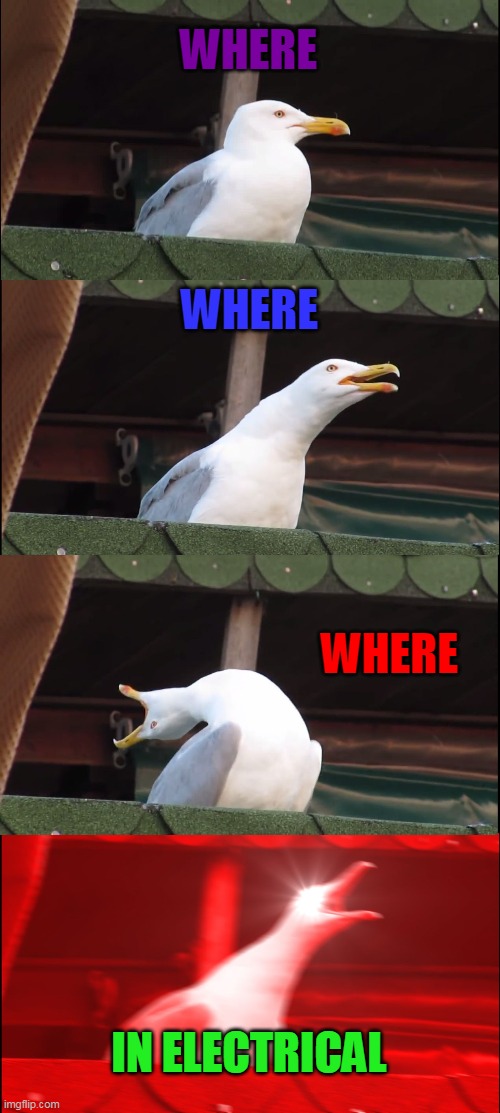Inhaling Seagull | WHERE; WHERE; WHERE; IN ELECTRICAL | image tagged in memes,inhaling seagull | made w/ Imgflip meme maker