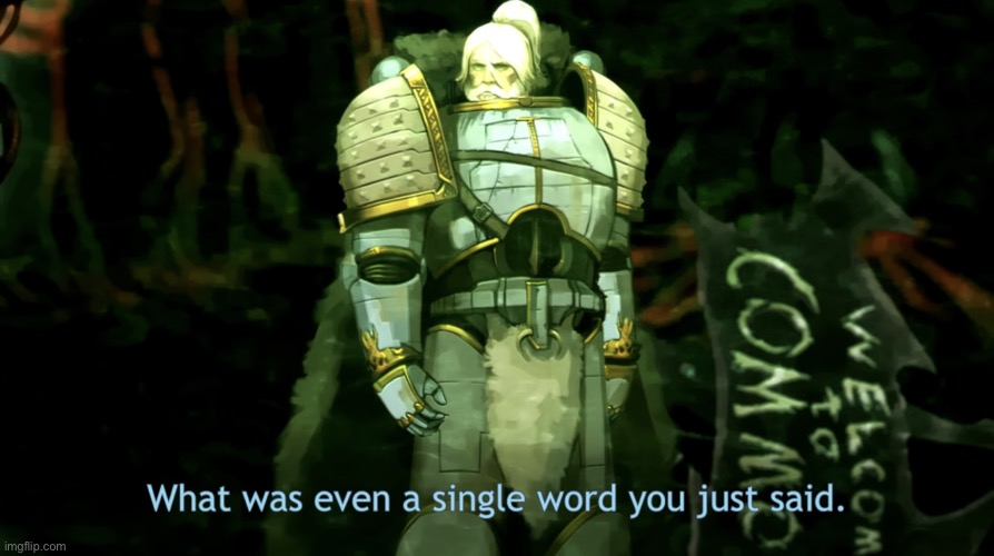 What was even a single word you just said? | image tagged in what was even a single word you just said | made w/ Imgflip meme maker