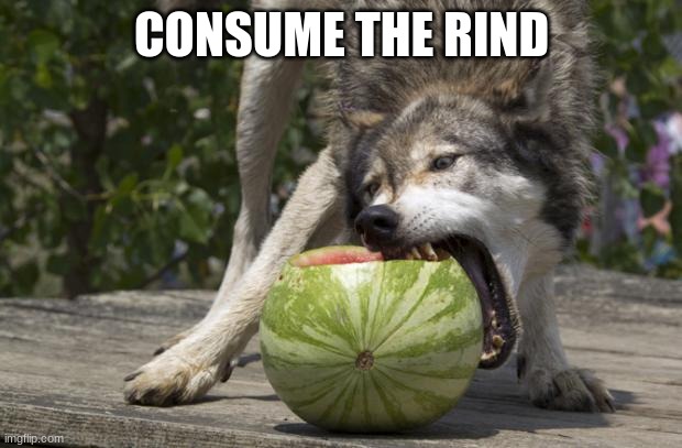 Watermelon Wolf | CONSUME THE RIND | image tagged in watermelon wolf | made w/ Imgflip meme maker