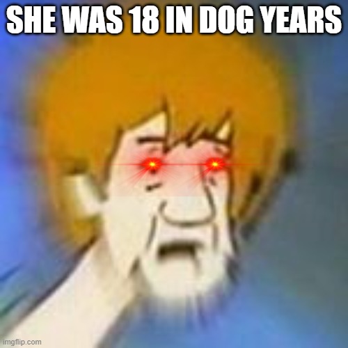 Shaggy Dank Meme | SHE WAS 18 IN DOG YEARS | image tagged in shaggy dank meme | made w/ Imgflip meme maker