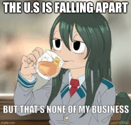 *interesting title here* | THE U.S IS FALLING APART | image tagged in but that s none of my business | made w/ Imgflip meme maker