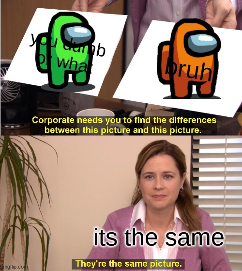They're The Same Picture Meme | you dumb or what; bruh; its the same | image tagged in memes,they're the same picture | made w/ Imgflip meme maker