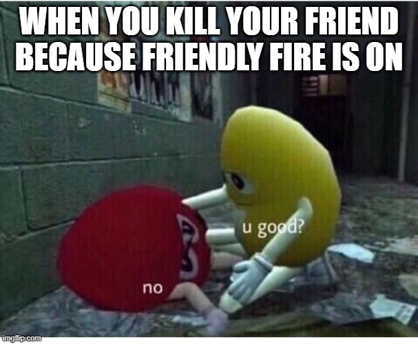 U Good No | WHEN YOU KILL YOUR FRIEND BECAUSE FRIENDLY FIRE IS ON | image tagged in u good no | made w/ Imgflip meme maker