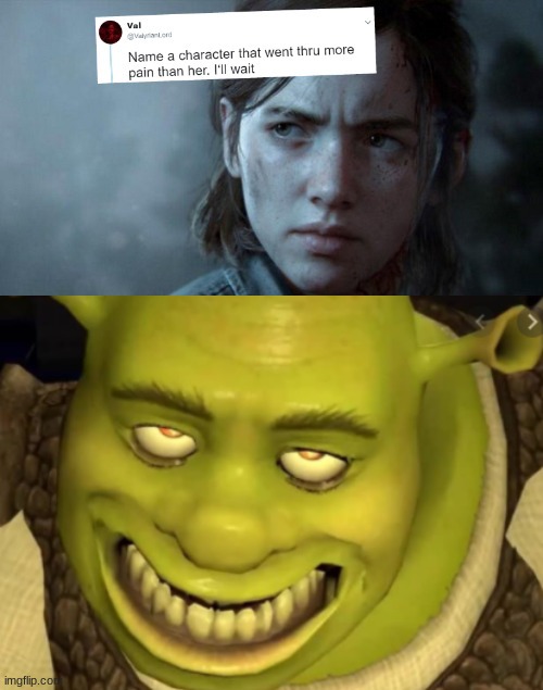 shrek | image tagged in name a character that went tru | made w/ Imgflip meme maker